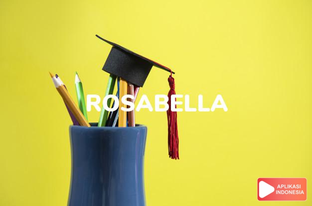 arti nama rosabella adalah (Bentuk lain dari Rosabel)Mawar yang cantik