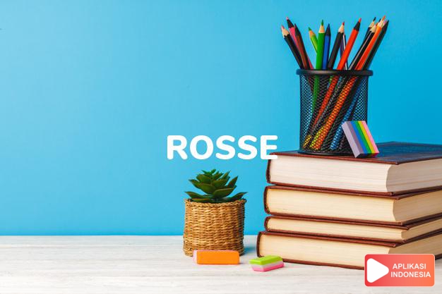 arti nama Rosse adalah (Bentuk lain dari Ross) Mawar