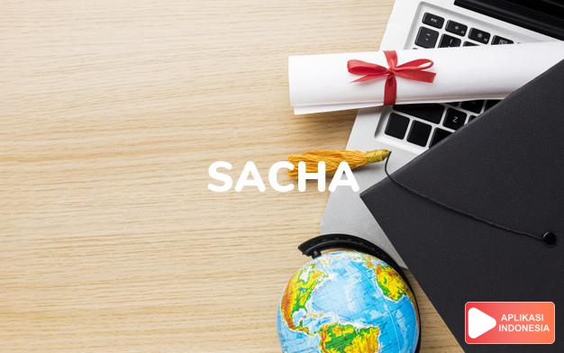 arti nama Sacha adalah Versi Perancis dari Sasha. Ini adalah salah satu nama yang berasal dari Rusia dan diperkenalkan ke negara berbahasa Inggris via Perancis.