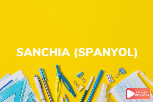 arti nama sanchia (spanyol) adalah suci