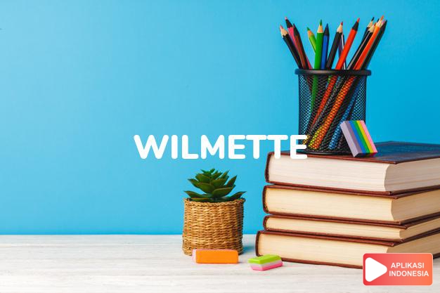 arti nama Wilmette adalah (Bentuk lain dari Wilma) beropi baja, pelindung