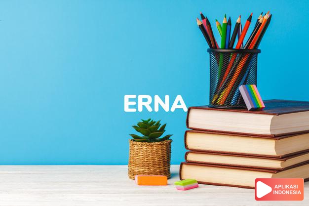 arti nama Erna adalah Mudah bergaul, senang menghibur. Empati, pengertian. Romantis dan penuh ide. Berkeinginan kuat dan bertujuan.