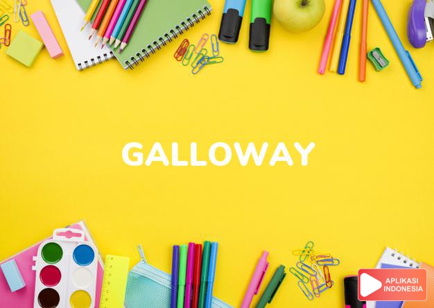 arti nama Galloway adalah aneh