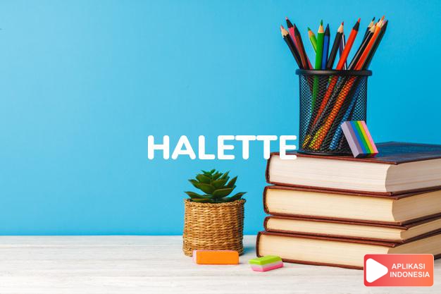 arti nama Halette adalah Hal yang sangat kecil