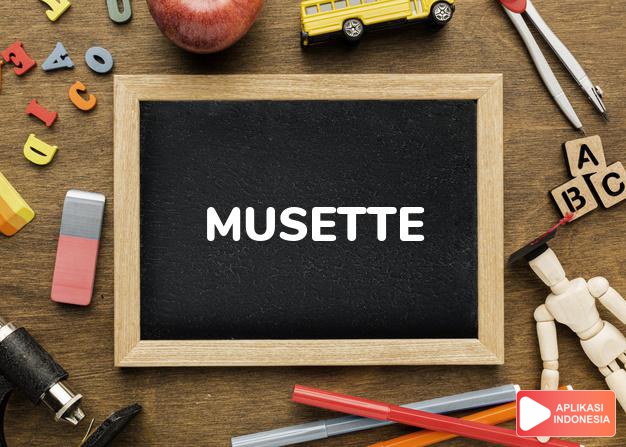 arti nama musette adalah (Bentuk lain dari Musetta) bagpipe yang kecil