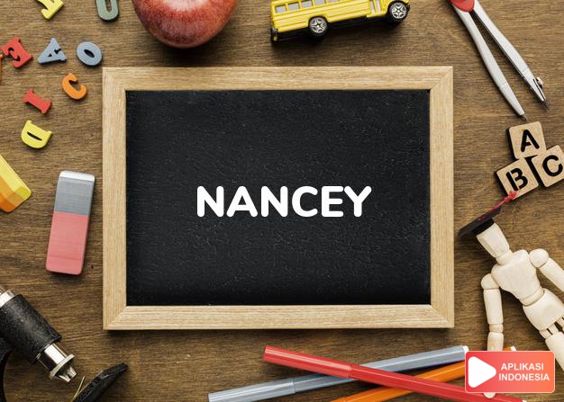 arti nama Nancey adalah (bentuk lain dari Nancy) Berterimakasih, bersyukur