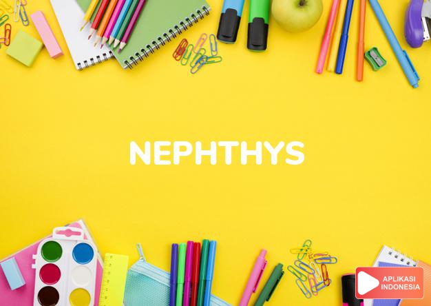 arti nama Nephthys adalah Mitos sebuah nama (putri Nut dan Geb)