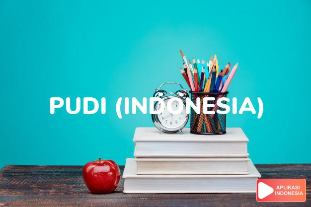 arti nama pudi (indonesia) adalah intan kecil