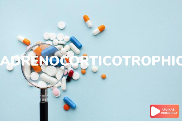 arti adrenocorticotrophic adalah kortikotropik. dalam kamus farmasi bahasa indonesia online by Aplikasi Indonesia