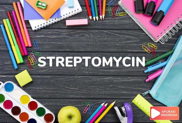 arti streptomycin adalah kb. streptomisin. dalam Terjemahan Kamus Bahasa Inggris Indonesia Indonesia Inggris by Aplikasi Indonesia