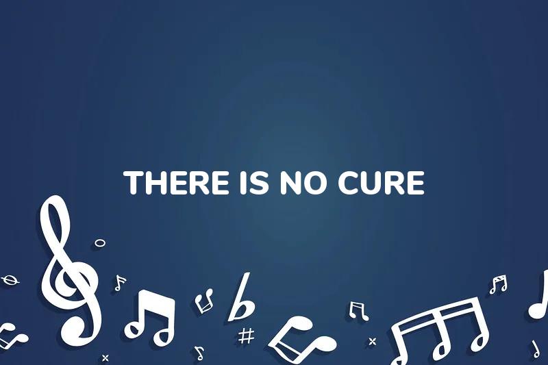 Lirik Lagu There Is No Cure - A Beautiful Silence dan Terjemahan Bahasa Indonesia - Aplikasi Indonesia