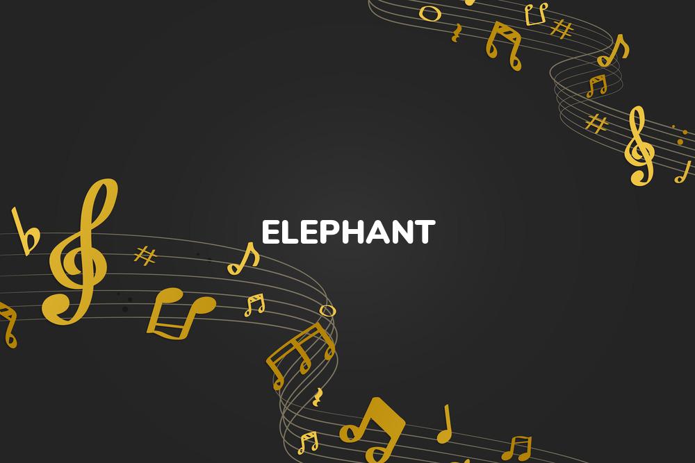Lirik Lagu Elephant - A Camp dan Terjemahan Bahasa Indonesia - Aplikasi Indonesia