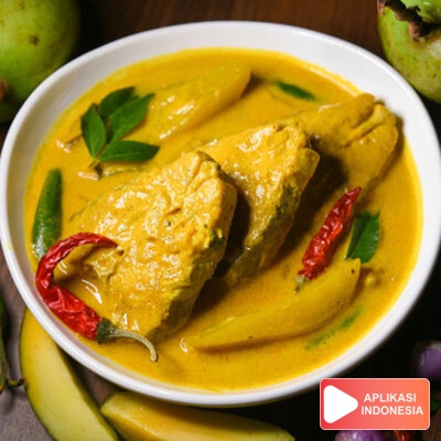 Resep Ikan Patin Bumbu Kuning Masakan dan Makanan Sehari Hari di Rumah - Aplikasi Indonesia